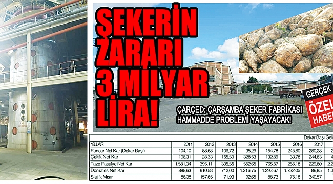 ŞEKERİN ZARARI 3 MİLYAR LİRA!