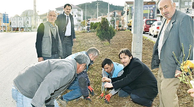 Yakakent’e 6 bin gül fidanı dikildi