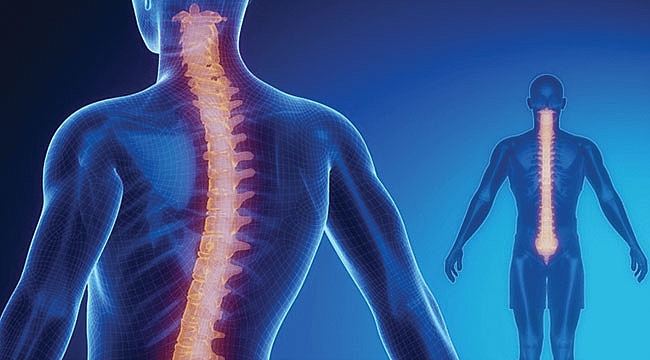 20 bin öğrenci taramadan geçecek