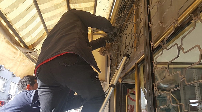 BAFRA'DA KEPENGE SIKIŞAN KEDİYİ İTFAİYE KURTARDI