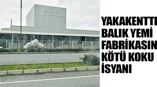 Balık yemi fabrikasına kötü koku isyanı