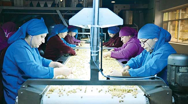 FİSKOBİRLİK ürünleri 20 ülkede satılıyor