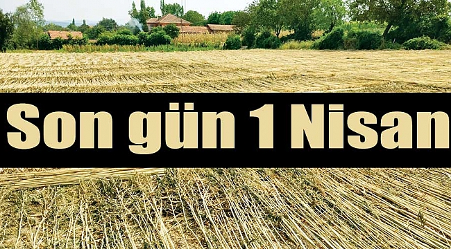 Kenevir üretimi izni için son gün 1 Nisan