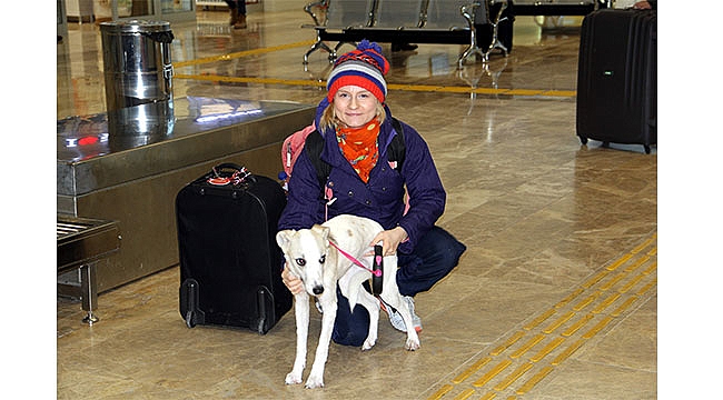 Pamuk’un hayatı Heidi ile değişti