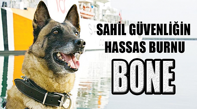 Sahil güvenliğin hassas burnu: Bone