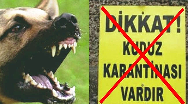 Atakum’da kuduz vakası yok