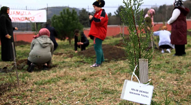 Diktikleri fidanlara İdlib şehitlerinin isimlerini verdiler
