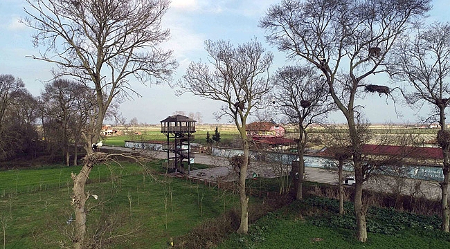 ‘Leylek TOKİ’ dolmaya başladı