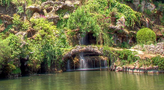 SAMSUN’DAKİ O ORMAN İÇİN BAKAN MURAT KURUM ONAY VERDİ