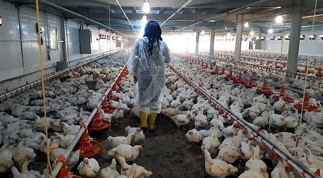 Samsunlu kadın girişimcilere 57,7 milyon liralık yatırım