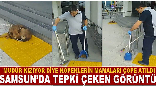 Tepki çeken görüntü