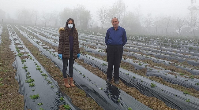 Alaçam çileği marka olacak