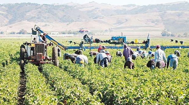 Bilim Kurulu mevsimsel tarım işçileri için karar aldı