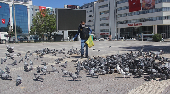 Samsun'da aç kalan kuşlara polisler yem verdi
