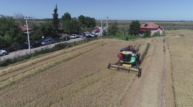 Samsun’da çiftçiye müjde!