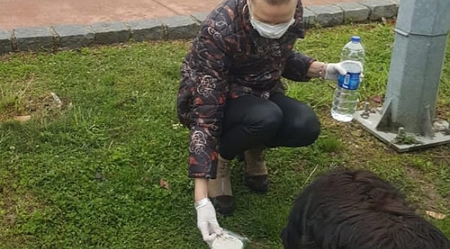 SOKAK HAYVANLARININ DOSTU