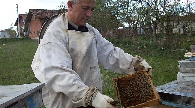 Arıcılara kovan uyarısı