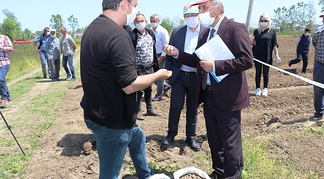 Salep üretiminin yüzde 15’i Karadeniz’den