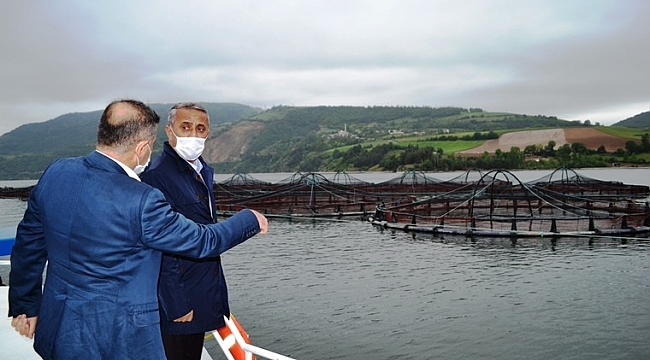 Samsun’da yılda 16 bin tondan fazla balık üretiliyor