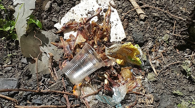 SAMSUN’DAKİ KORKUTAN GÖRÜNTÜLER