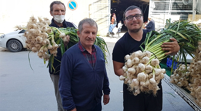 SARIMSAK BAFRA'DA DİBE VURDU