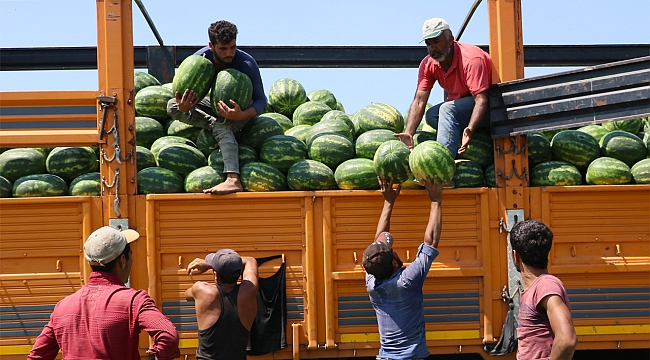 Türkiye ithal karpuza kapılarını kapattı