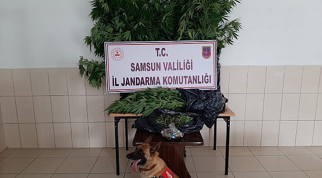 Uyuşturucu avcısı Ozan