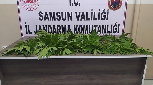 Uyuşturucuya af yok
