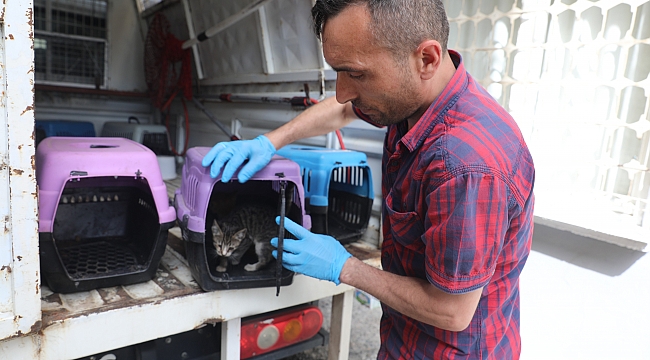 YAVRU KEDİYE YAŞAM UMUDU OLDULAR