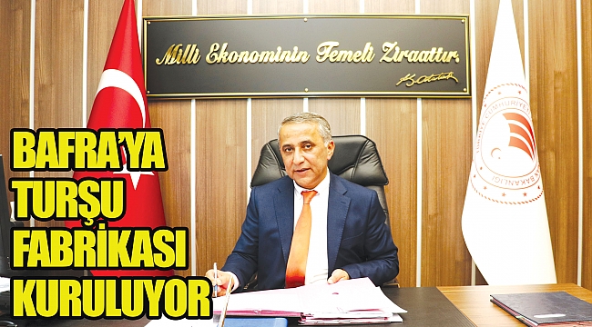 BAFRA’YA TURŞU FABRİKASI KURULUYOR
