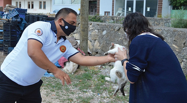 Dere yatağına düşen kediyi itfaiye kurtardı