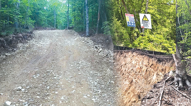 KAVAK ORMAN İŞLETMELERİ EKİPLERİ KANADALI ŞİRKETE Mİ ÇALIŞIYOR?