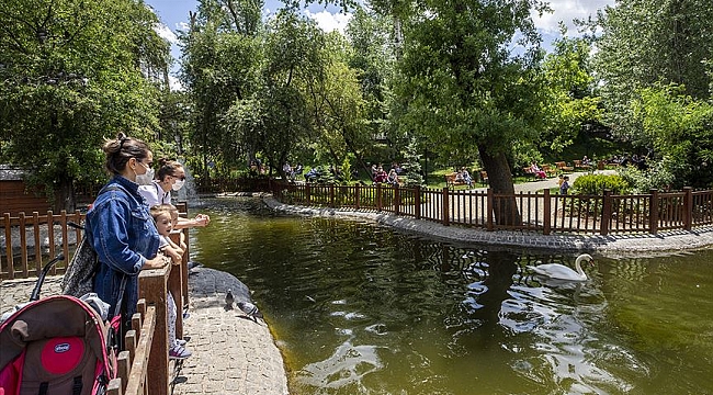 Rehavete pik yaptırabilir