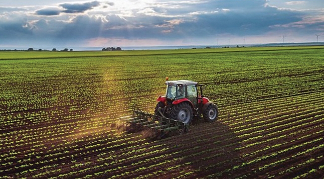 6 ayda 182 bin tarla, 154 bin arsa satıldı