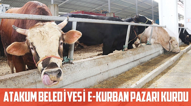 Atakum Belediyesi E-Kurban Pazarı kurdu