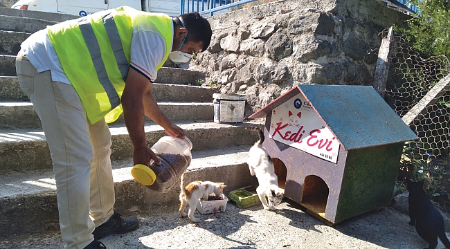 Canik'te can dostlar emin ellerde