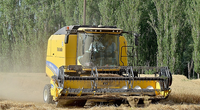 Çorum'da hasat bayramı