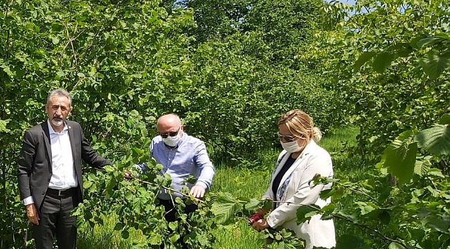 Hancıoğlu’ndan iktidara ‘üreticiyi satma!’ uyarısı