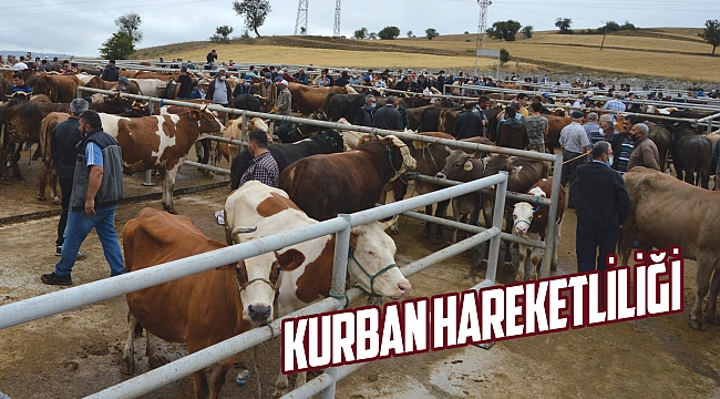 Kurban hareketliliği