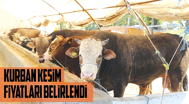 Kurban kesim fiyatları belirlendi