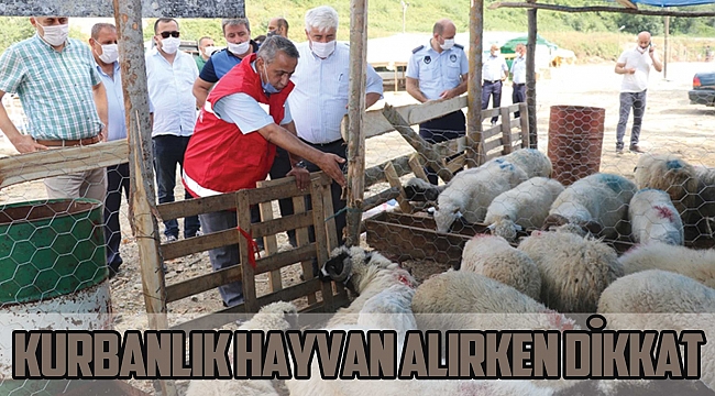 Kurbanlık hayvan alırken dikkat!