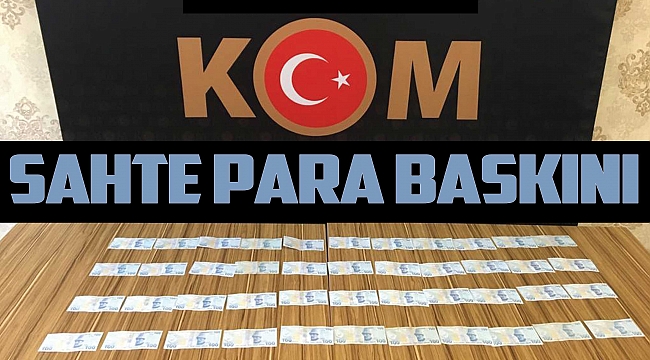 Sahte para baskını