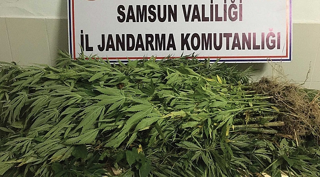 UYUŞTURUCUYA GEÇİT YOK:7 KİLO 886 GRAM KUBAR ESRAR ELE GEÇTİ