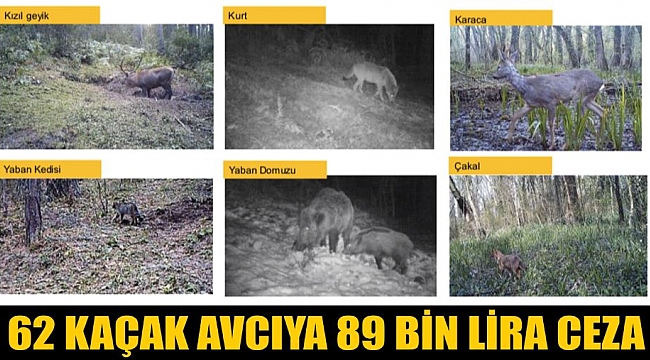 62 KAÇAK AVCIYA 89 BİN LİRA CEZA