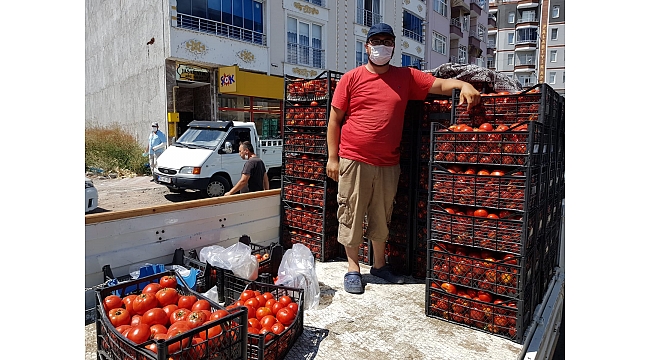 Domates yüz güldürüyor