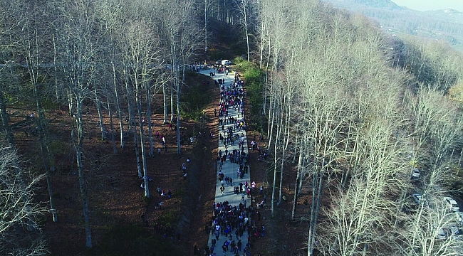 Festivale 'korona' engeli