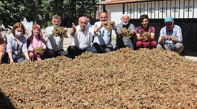 Fındık fiyatından memnunuz