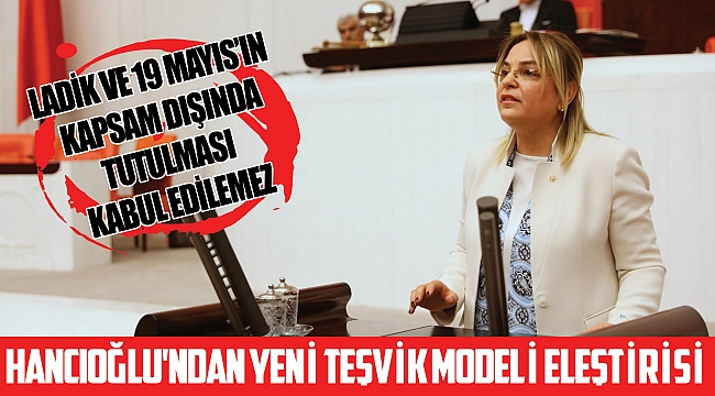 HANCIOĞLU'NDAN YENİ TEŞVİK MODELİ ELEŞTİRİSİ