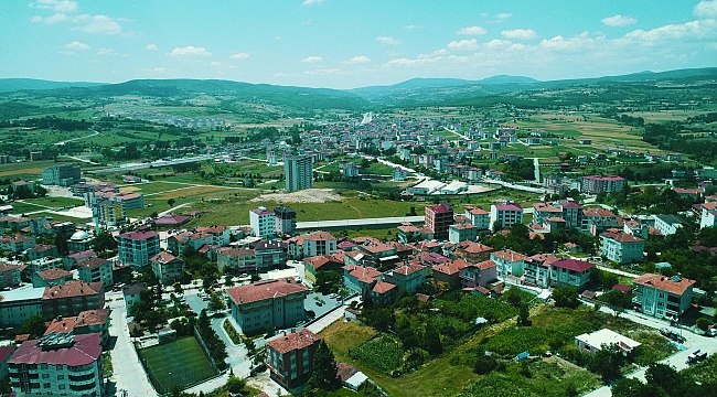 Kavak ışık hızıyla gelişiyor