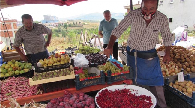 Kavak'ta kızılcıklar selelere doldu